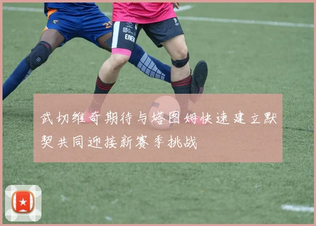 武切维奇期待与塔图姆快速建立默契共同迎接新赛季挑战