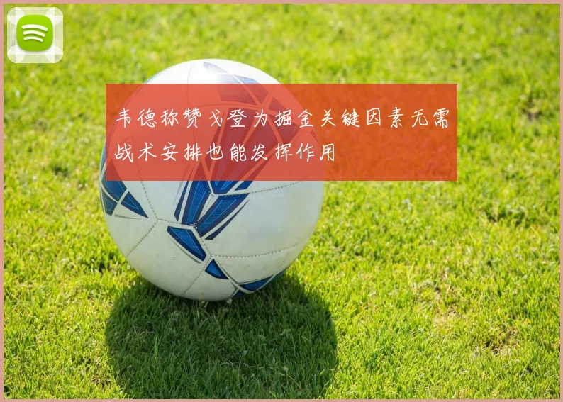 韦德称赞戈登为掘金关键因素无需战术安排也能发挥作用